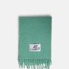 Accessories * | Marni Brushed Wool Scarf In Spring Green